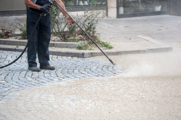 Best Sidewalk and Walkway Cleaning  in Thoreau, NM